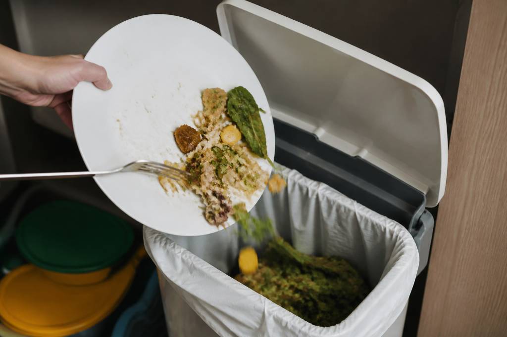 Gaspillage alimentaire france : quelles solutions innovantes pour le réduire ?